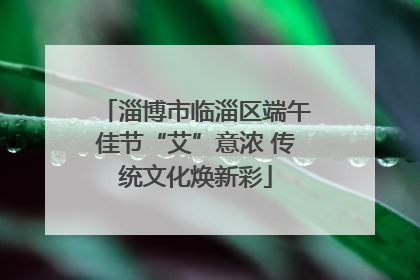 淄博市临淄区端午佳节“艾”意浓 传统文化焕新彩