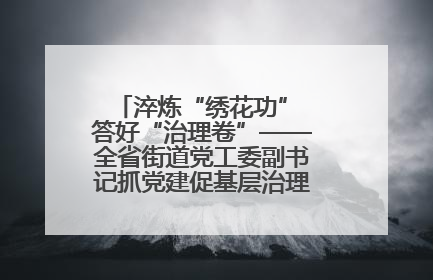 淬炼“绣花功” 答好“治理卷”——全省街道党工委副书记抓党建促基层治理培训示范班侧记