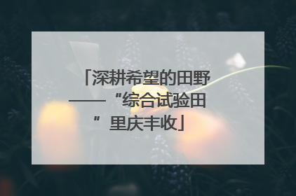 深耕希望的田野——“综合试验田”里庆丰收