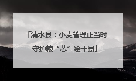 清水县：小麦管理正当时 守护粮“芯”绘丰景