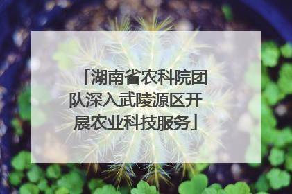 湖南省农科院团队深入武陵源区开展农业科技服务
