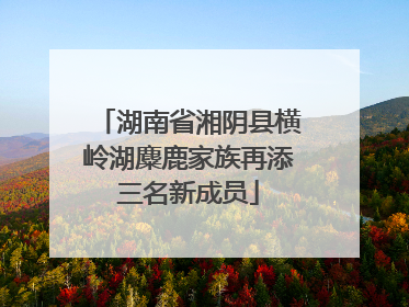 湖南省湘阴县横岭湖麋鹿家族再添三名新成员
