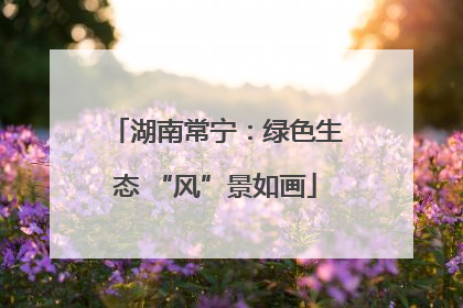 湖南常宁：绿色生态 “风”景如画