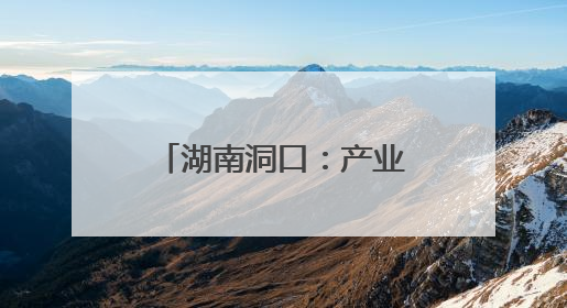 湖南洞口：产业提质增效 绘就乡村振兴新图景