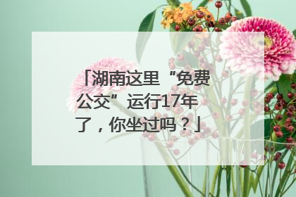 湖南这里“免费公交”运行17年了，你坐过吗？