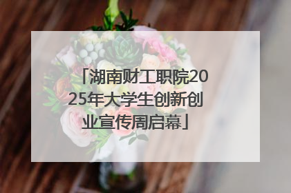 湖南财工职院2025年大学生创新创业宣传周启幕