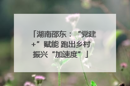 湖南邵东：“党建+”赋能 跑出乡村振兴“加速度”