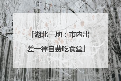 湖北一地：市内出差一律自费吃食堂