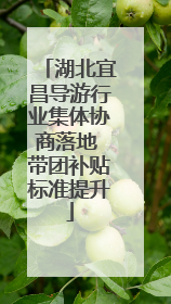 湖北宜昌导游行业集体协商落地 带团补贴标准提升