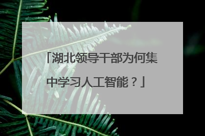 湖北领导干部为何集中学习人工智能？