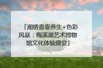 湘绣香囊养生+色彩风暴：梅溪湖艺术博物馆文化体验盛宴