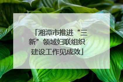 湘潭市推进“三新”领域妇联组织建设工作见成效