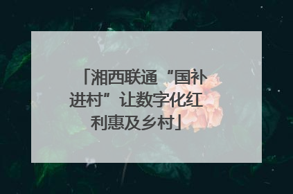 湘西联通“国补进村”让数字化红利惠及乡村