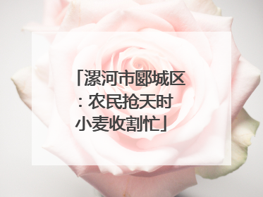漯河市郾城区：农民抢天时 小麦收割忙