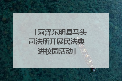 菏泽东明县马头司法所开展民法典进校园活动