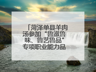 菏泽单县羊肉汤参加“鲁滋鲁味、鲁艺鲁品”专项职业能力品牌展示活动