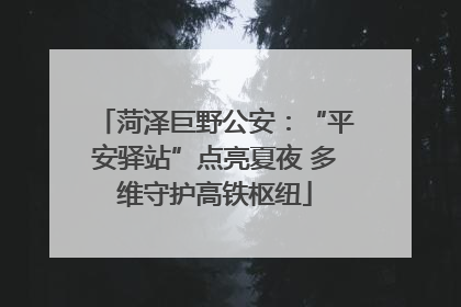 菏泽巨野公安：“平安驿站”点亮夏夜 多维守护高铁枢纽