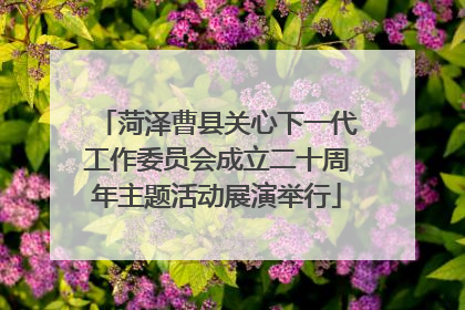 菏泽曹县关心下一代工作委员会成立二十周年主题活动展演举行