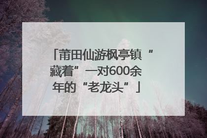莆田仙游枫亭镇“藏着”一对600余年的“老龙头”