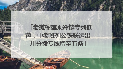 老挝榴莲乘冷链专列抵蓉，中老班列公铁联运出川分拨专线增至五条