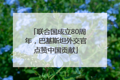 联合国成立80周年，巴基斯坦外交官点赞中国贡献