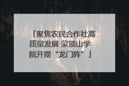 聚焦农民合作社高质量发展 蒙顶山学院开摆“龙门阵”