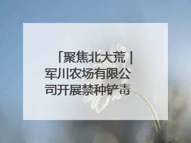 聚焦北大荒｜军川农场有限公司开展禁种铲毒排查宣传行动