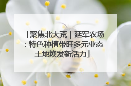 聚焦北大荒｜延军农场：特色种植带旺多元业态 土地焕发新活力