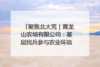 聚焦北大荒｜青龙山农场有限公司：基层民兵参与农业环境综合治理显效