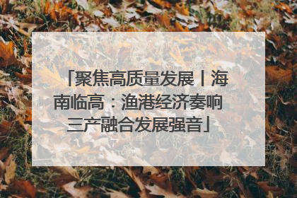 聚焦高质量发展丨海南临高：渔港经济奏响三产融合发展强音