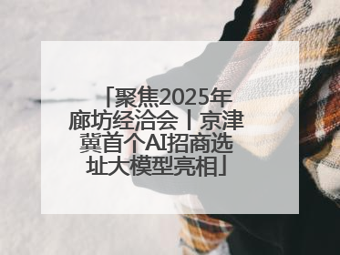 聚焦2025年廊坊经洽会丨京津冀首个AI招商选址大模型亮相