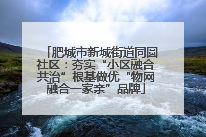 肥城市新城街道同圆社区：夯实“小区融合共治”根基做优“物网融合一家亲”品牌