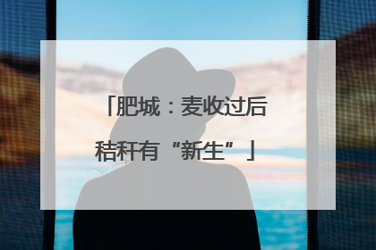 肥城：麦收过后秸秆有“新生”