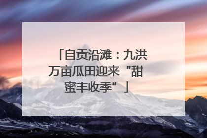 自贡沿滩：九洪万亩瓜田迎来“甜蜜丰收季”