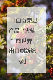 自贡荣县产品“火辣”闯世界 出口刷新纪录