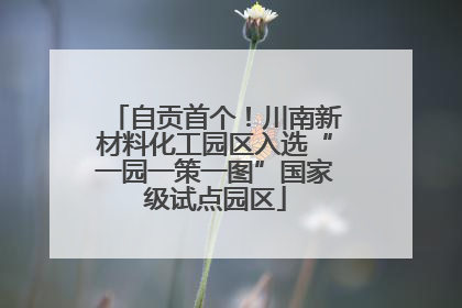 自贡首个！川南新材料化工园区入选“一园一策一图”国家级试点园区