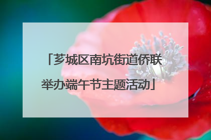 芗城区南坑街道侨联举办端午节主题活动