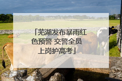 芜湖发布暴雨红色预警 交警全员上岗护高考