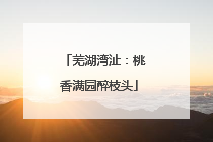 芜湖湾沚：桃香满园醉枝头
