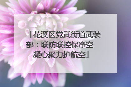 花溪区党武街道武装部：联防联控保净空 凝心聚力护航空
