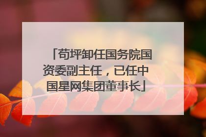 苟坪卸任国务院国资委副主任，已任中国星网集团董事长
