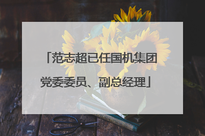 范志超已任国机集团党委委员、副总经理