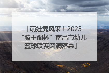 萌娃秀风采！2025“滕王阁杯”南昌市幼儿篮球联赛圆满落幕