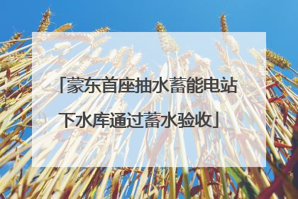 蒙东首座抽水蓄能电站下水库通过蓄水验收