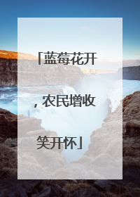 蓝莓花开，农民增收笑开怀