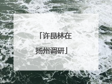许昆林在扬州调研