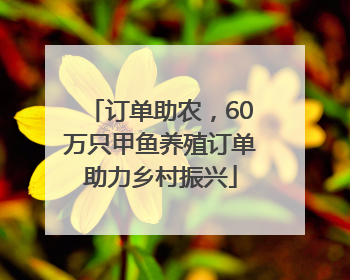 订单助农，60万只甲鱼养殖订单助力乡村振兴