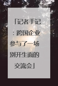 记者手记：跨国企业参与了一场别开生面的交流会