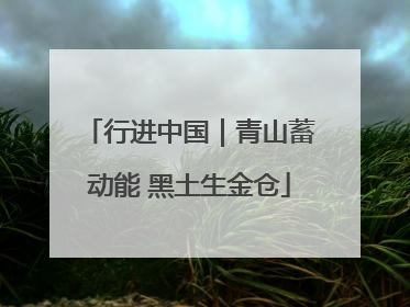 行进中国｜青山蓄动能 黑土生金仓