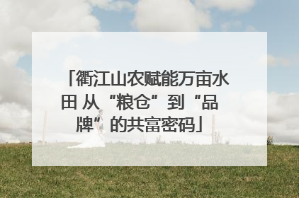 衢江山农赋能万亩水田 从“粮仓”到“品牌”的共富密码